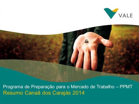 Programa de Preparação para o Mercado de Trabalho – PPMT Resumo Canaã dos Carajás 2014.