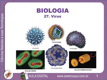 1 Ciências Naturais e suas Tecnologias AULA DIGITAL BIOLOGIA 27. Vírus.