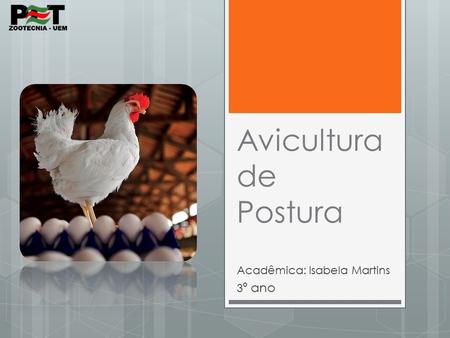 Avicultura de Postura Acadêmica: Isabela Martins 3 º ano.