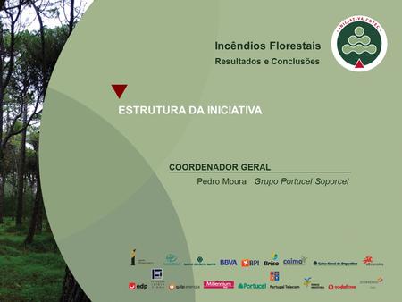 Incêndios Florestais  ESTRUTURA DA INICIATIVA COORDENADOR GERAL Pedro Moura Grupo Portucel Soporcel Resultados e Conclusões.
