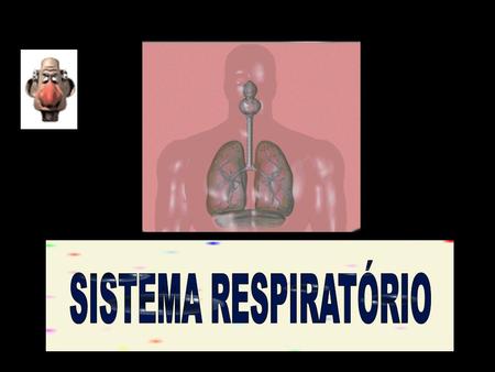 O sistema respiratório humano é constituído por um par de pulmões e por vários órgãos que conduzem o ar para dentro e para fora das cavidades pulmonares.