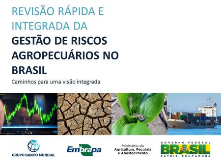 REVISÃO RÁPIDA E INTEGRADA DA GESTÃO DE RISCOS AGROPECUÁRIOS NO BRASIL Caminhos para uma visão integrada.