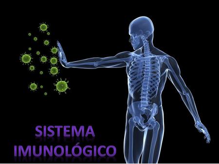 O sistema imunológico tem como função reconhecer agentes agressores e defender o organismo da sua ação, sendo constituído por órgãos, células e moléculas.
