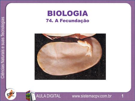 1 Ciências Naturais e suas Tecnologias AULA DIGITAL BIOLOGIA 74. A Fecundação.