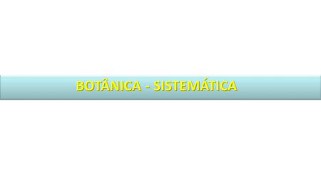 BOTÂNICA - SISTEMÁTICA. REINO METÁFITA Fotossíntese / O 2 Medicinal Fixadores de CO 2 e Nitrogênio Alimentação Produtores na cadeia alimentar IMPORTÂNCIA.
