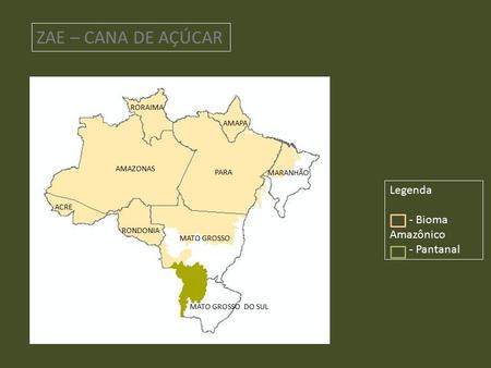 ZAE – CANA DE AÇÚCAR Legenda - Bioma Amazônico - Pantanal ACRE AMAZONAS PARA AMAPA MARANHÃO MATO GROSSO MATO GROSSO DO SUL RONDONIA RORAIMA.