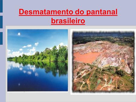 Desmatamento do pantanal brasileiro. Pantanal. Até 2004, 17% da vegetação foi desmatada. Conservação Internacional do Brasil (CI) apresentou oficialmente.