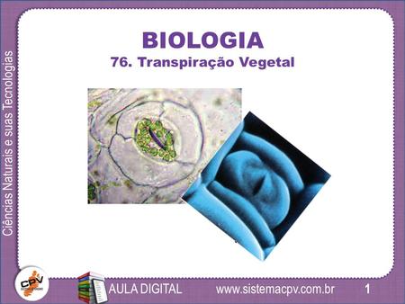 1 Ciências Naturais e suas Tecnologias AULA DIGITAL BIOLOGIA 76. Transpiração Vegetal.