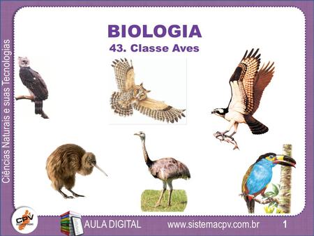 1 Ciências Naturais e suas Tecnologias AULA DIGITAL BIOLOGIA 43. Classe Aves.