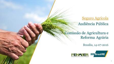 1 Audiência Pública Comissão de Agricultura e Reforma Agrária Brasília, 14-07-2016 Seguro Agrícola.