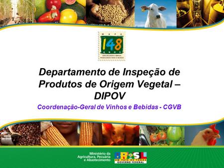 Departamento de Inspeção de Produtos de Origem Vegetal – DIPOV Coordenação-Geral de Vinhos e Bebidas - CGVB.