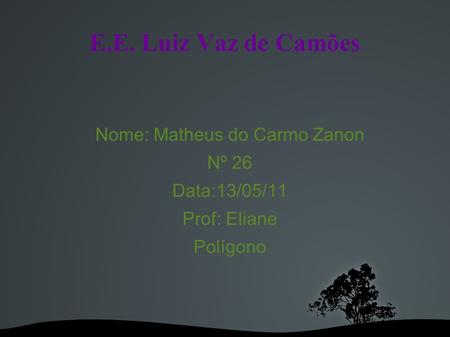 E.E. Luiz Vaz de Camões Nome: Matheus do Carmo Zanon Nº 26 Data:13/05/11 Prof: Eliane Polígono.