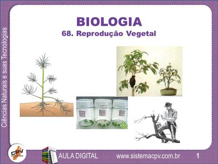 1 Ciências Naturais e suas Tecnologias AULA DIGITAL BIOLOGIA 68. Reprodução Vegetal.