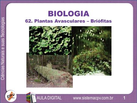 1 Ciências Naturais e suas Tecnologias AULA DIGITAL BIOLOGIA 62. Plantas Avasculares – Briófitas.
