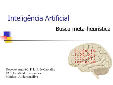 Busca meta-heurística 0 1 1 0 1 1 0 0 1 0 0 1 0 1 1 0 1 1 1 1 1 0 1 0 0 1 0 0 Inteligência Artificial Docente: André C. P. L. F. de Carvalho PAE: Everlândio.