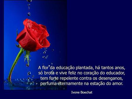 A flor da educação plantada, há tantos anos, só brota e vive feliz no coração do educador, tem forte repelente contra os desenganos, perfuma eternamente na estação do amor.Ivone Boechat