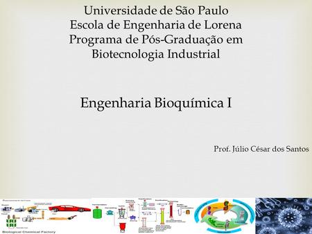 Universidade de São Paulo Escola de Engenharia de Lorena Programa de Pós-Graduação em Biotecnologia Industrial Engenharia Bioquímica I Prof. Júlio César.