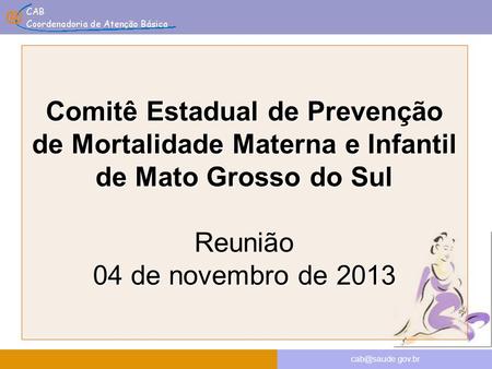 Comitê Estadual de Prevenção de Mortalidade Materna e Infantil de Mato Grosso do Sul 04 de novembro de 2013 Comitê Estadual de Prevenção.