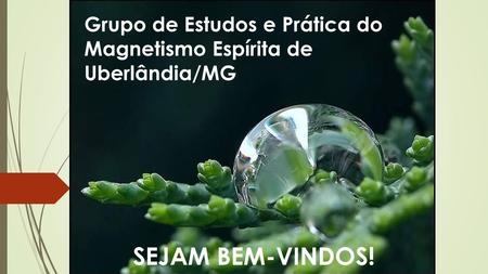 Grupo de Estudos e Prática do Magnetismo Espírita de Uberlândia/MG SEJAM BEM-VINDOS!