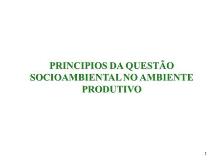 1 PRINCIPIOS DA QUESTÃO SOCIOAMBIENTAL NO AMBIENTE PRODUTIVO.