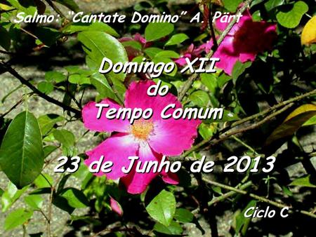 Ciclo C Domingo XII do Tempo Comum Domingo XII do Tempo Comum 23 de Junho de 2013 Salmo: “Cantate Domino” A. Pärt.