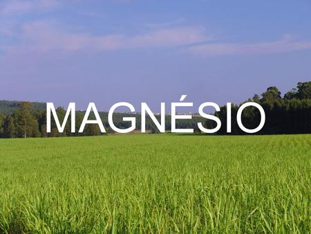 MAGNÉSIO. 1.Características do Magnésio É um macronutriente secundário Juntamente com o Cálcio, também é associado aos calcários Tem recebido maior atenção.