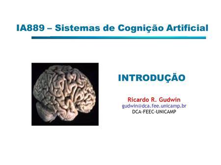 IA889 – Sistemas de Cognição Artificial INTRODUÇÃO Ricardo R. Gudwin DCA-FEEC-UNICAMP.