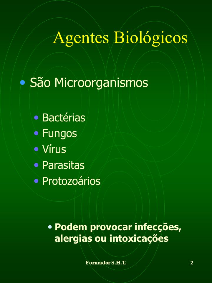 Exemplos de bacterias