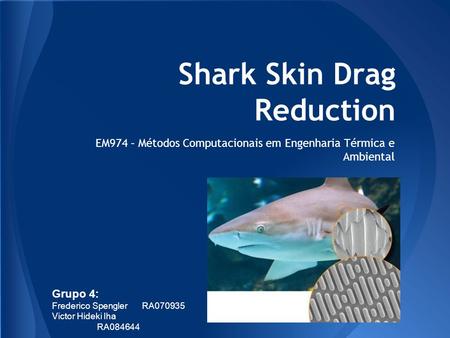 Shark Skin Drag Reduction