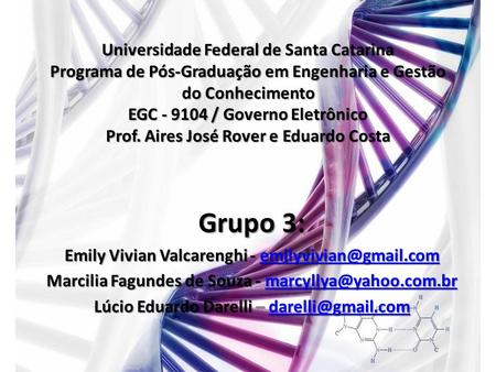 Universidade Federal de Santa Catarina Programa de Pós-Graduação em Engenharia e Gestão do Conhecimento EGC - 9104 / Governo Eletrônico Prof. Aires José.