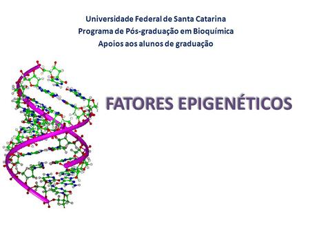 FATORES EPIGENÉTICOS Universidade Federal de Santa Catarina