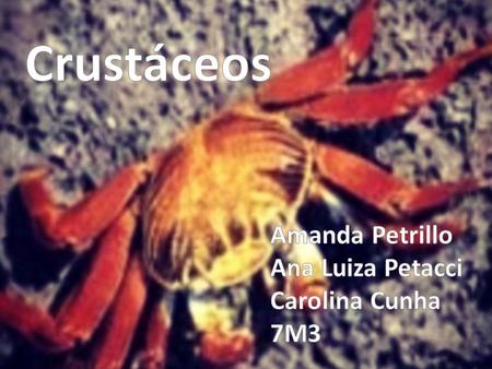 Crustáceos Amanda Petrillo Ana Luiza Petacci Carolina Cunha 7M3.