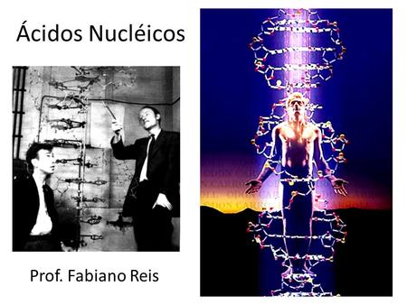 Ácidos Nucléicos Prof. Fabiano Reis.