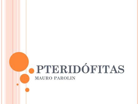 PTERIDÓFITAS MAURO PAROLIN.
