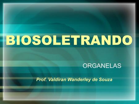 BIOSOLETRANDO ORGANELAS Prof. Valdiran Wanderley de Souza.