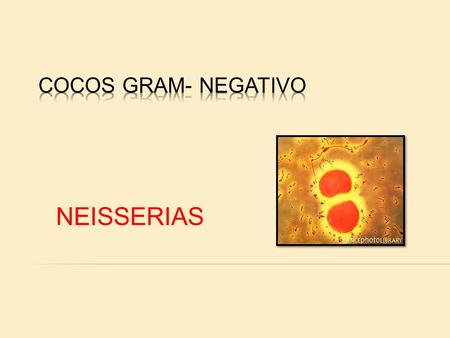 COCOS GRAM- NEGATIVO NEISSERIAS.