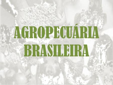 AGROPECUÁRIA BRASILEIRA