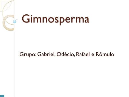 Grupo: Gabriel, Odécio, Rafael e Rômulo