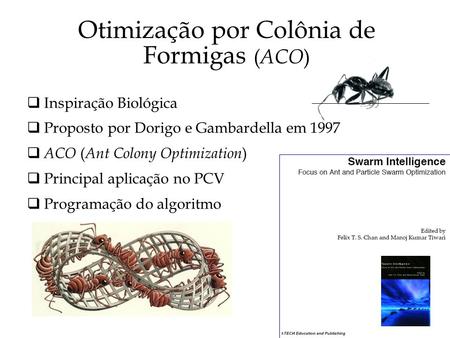 Otimização por Colônia de Formigas (ACO)