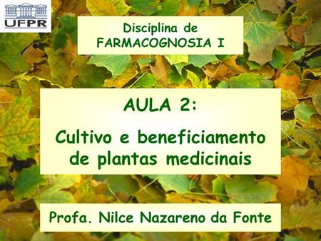 AULA 2: Cultivo e beneficiamento de plantas medicinais