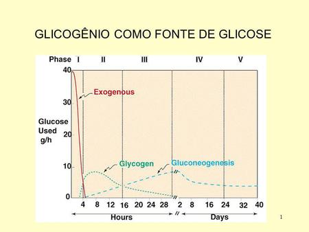 GLICOGÊNIO COMO FONTE DE GLICOSE
