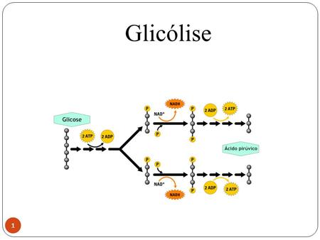 Glicólise É uma via metabólica, citoplasmática, que ocorre em todas as células, com o objetivo de produzir energia a partir da quebra de monossacarídeos.