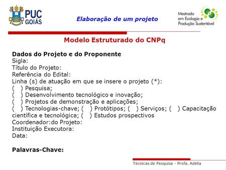 Modelo Estruturado do CNPq