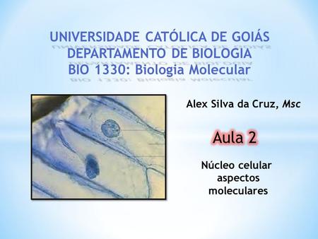 UNIVERSIDADE CATÓLICA DE GOIÁS DEPARTAMENTO DE BIOLOGIA BIO 1330: Biologia Molecular Alex Silva da Cruz, Msc Aula 2 Núcleo celular aspectos moleculares.