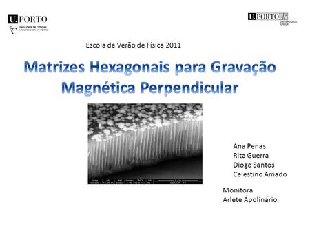 Matrizes Hexagonais para Gravação Magnética Perpendicular