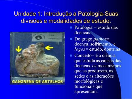 Patologia = estudo das doenças.