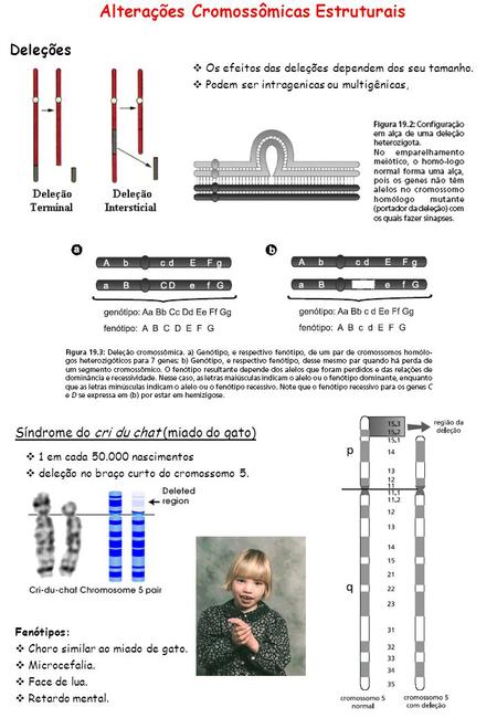 Alterações Cromossômicas Estruturais