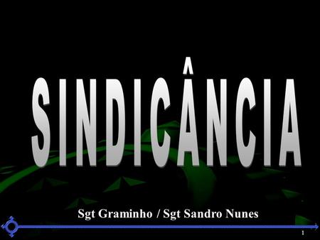 SINDICÂNCIA Sgt Graminho / Sgt Sandro Nunes 1 1 1.