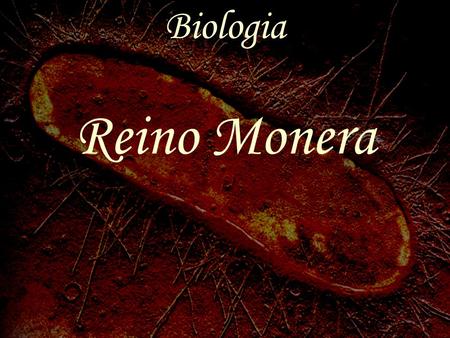 Biologia Reino Monera.
