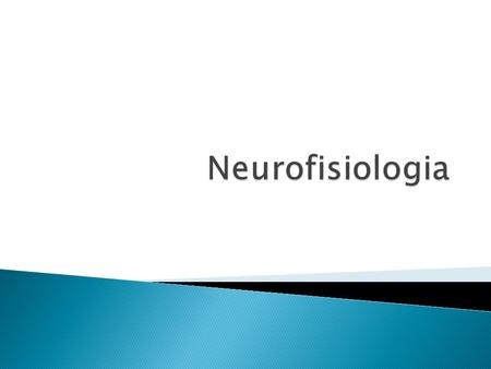 Neurofisiologia.